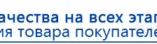 Электроды Скэнар -  двойной овал 55х90 мм купить в Сосновом Бор, Электроды Скэнар купить в Сосновом Бор, Дэнас официальный сайт denasolm.ru